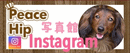 インスタグラム
